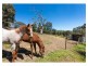 81 Bonnie Springs Road, Jindera NSW 2642