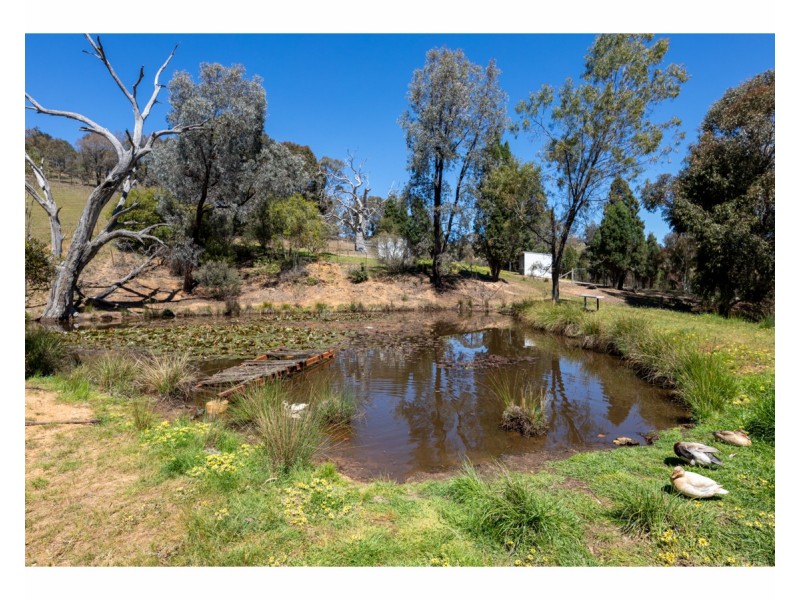 81 Bonnie Springs Road, Jindera NSW 2642