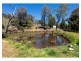 81 Bonnie Springs Road, Jindera NSW 2642