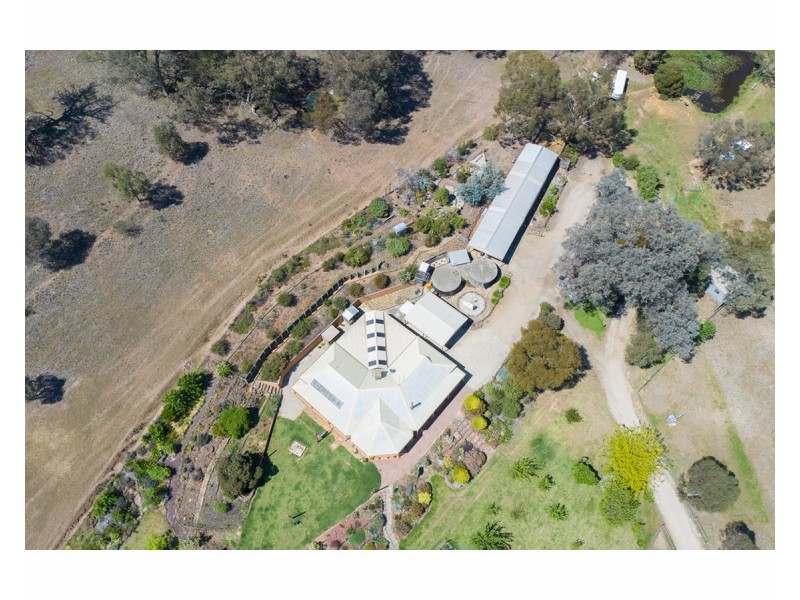 81 Bonnie Springs Road, Jindera NSW 2642