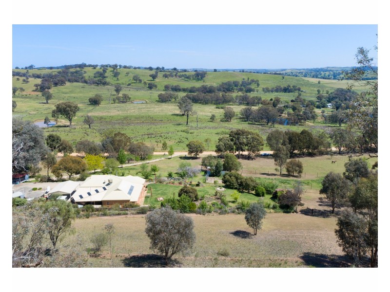 81 Bonnie Springs Road, Jindera NSW 2642