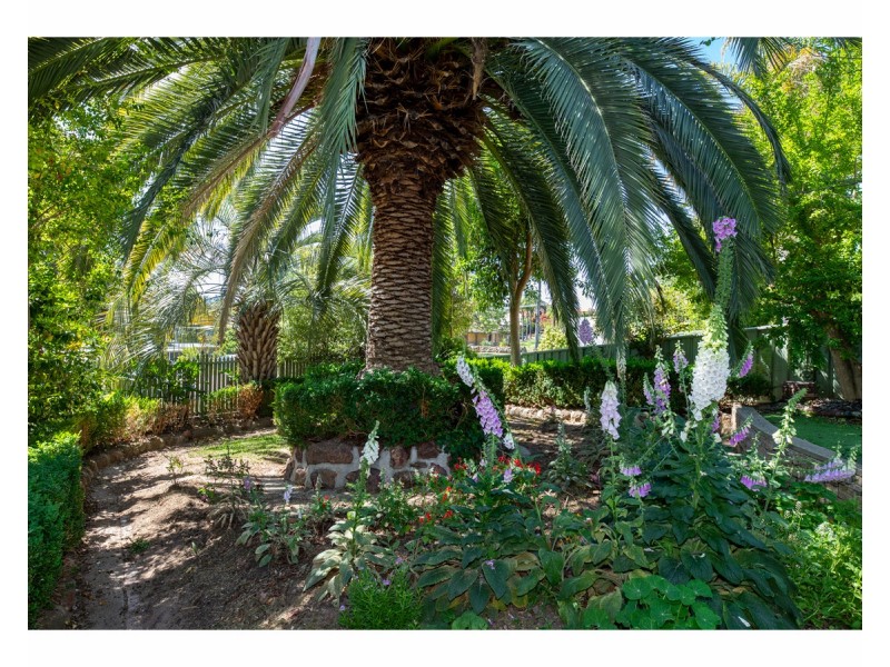 21 Craig Drive, Bellbridge VIC 3691