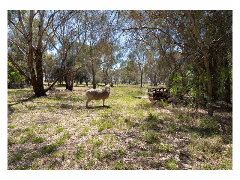 Lot 2 Mahonga Road, Rand NSW 2642