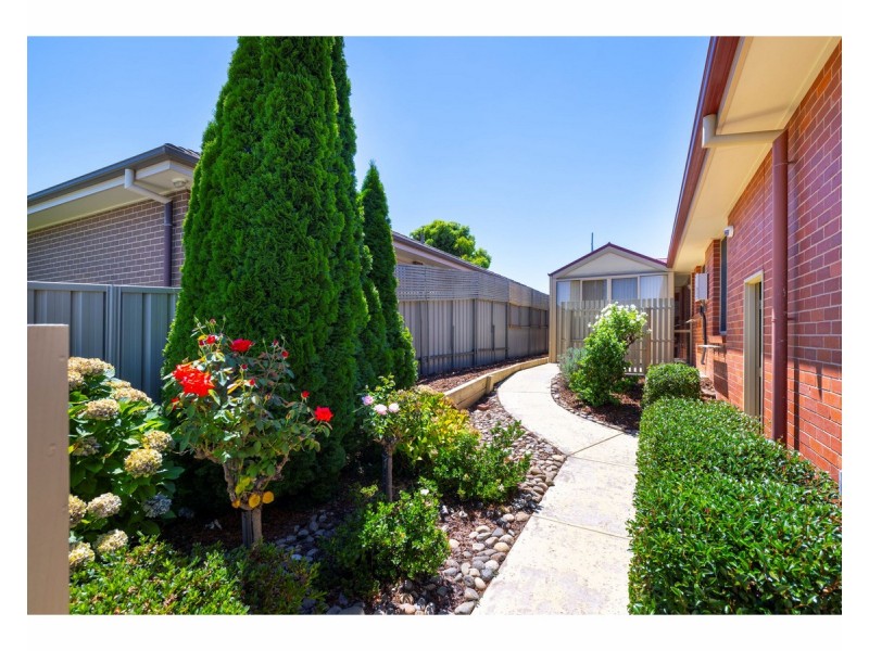 66 Honeyeater Circuit, Thurgoona NSW 2640