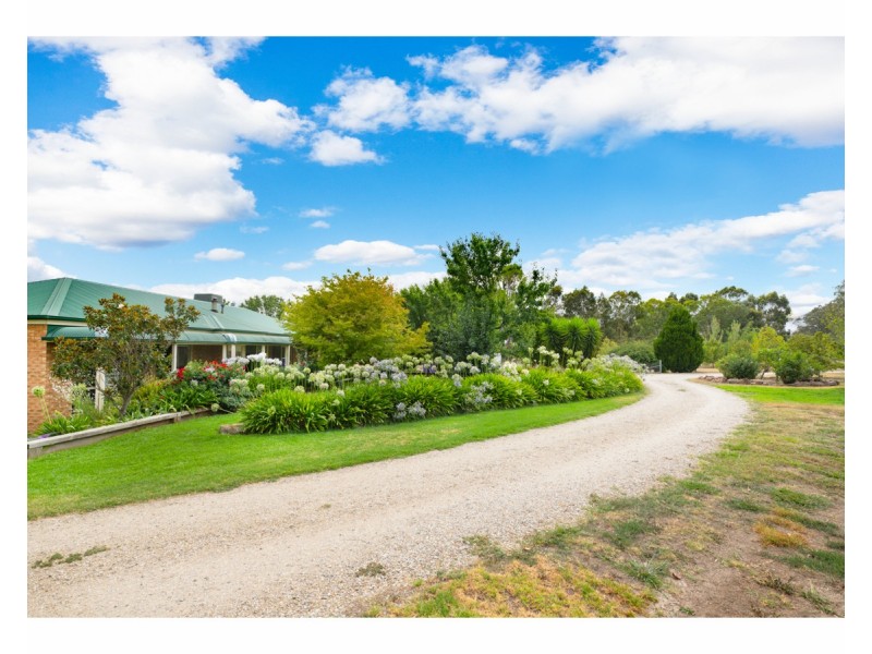 19 Tynan Road, Table Top NSW 2640