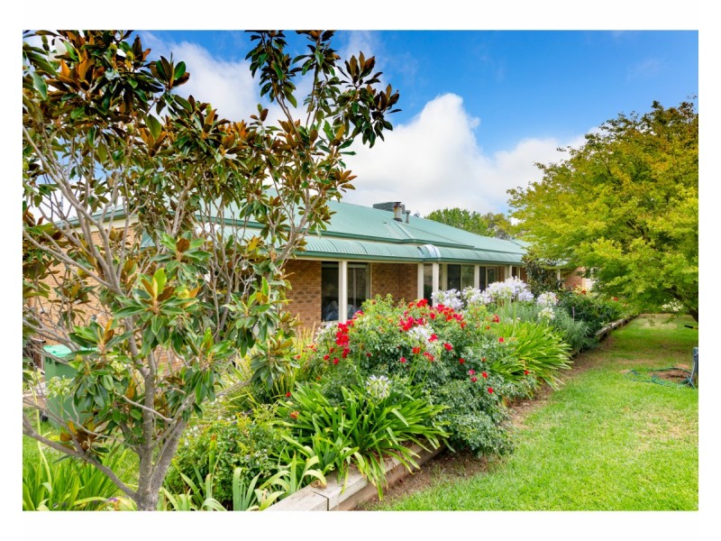 19 Tynan Road, Table Top NSW 2640