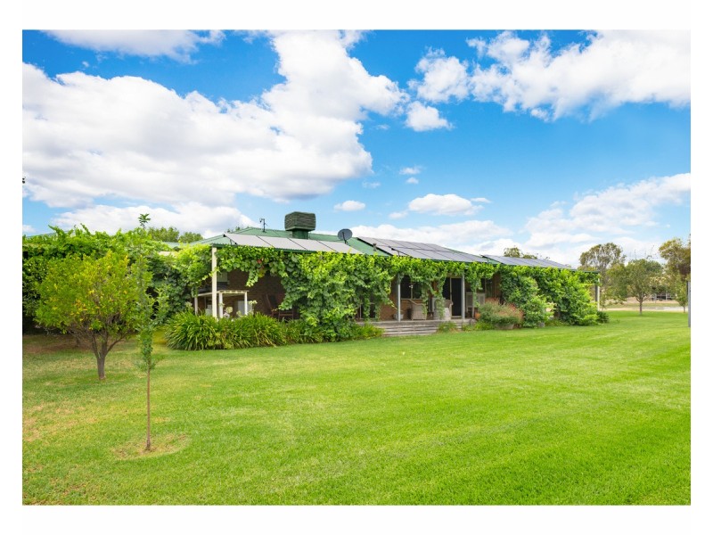 19 Tynan Road, Table Top NSW 2640