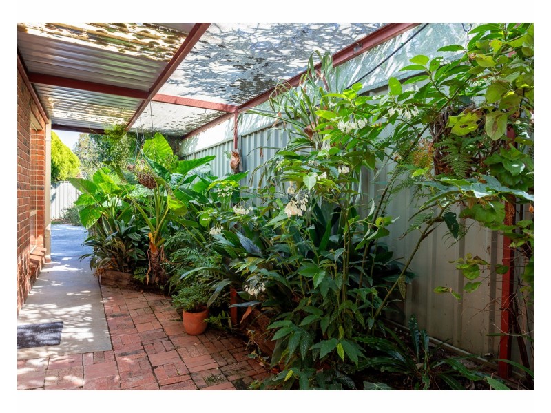 3 Dirru Court, Springdale Heights NSW 2641