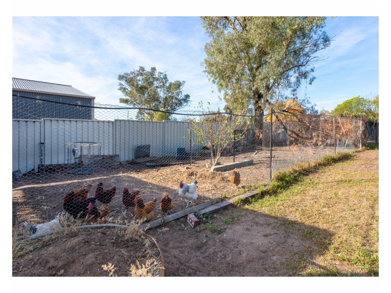 19 Smith Street, Henty NSW 2658