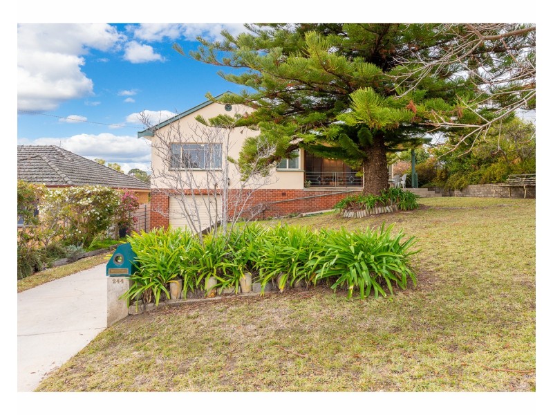244 Denmar Street, East Albury NSW 2640