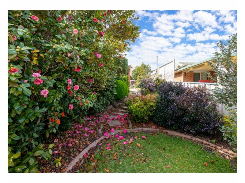 19 Doulton Drive, West Albury NSW 2640