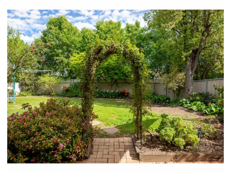 19 Doulton Drive, West Albury NSW 2640