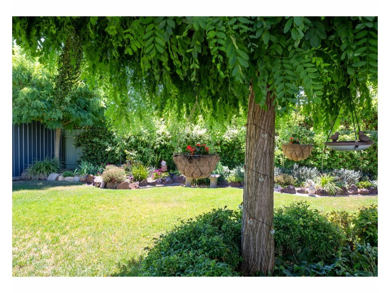 104 Creek Street, Jindera NSW 2642