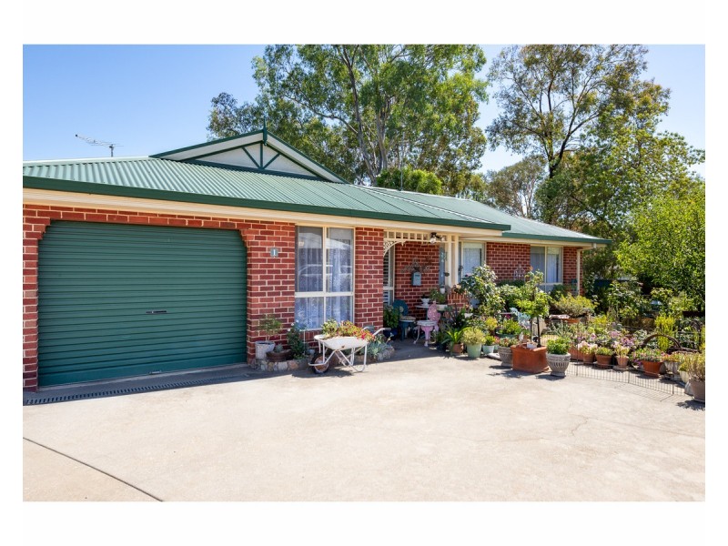 1/495 Rose Street, Lavington NSW 2641