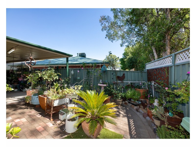 1/495 Rose Street, Lavington NSW 2641
