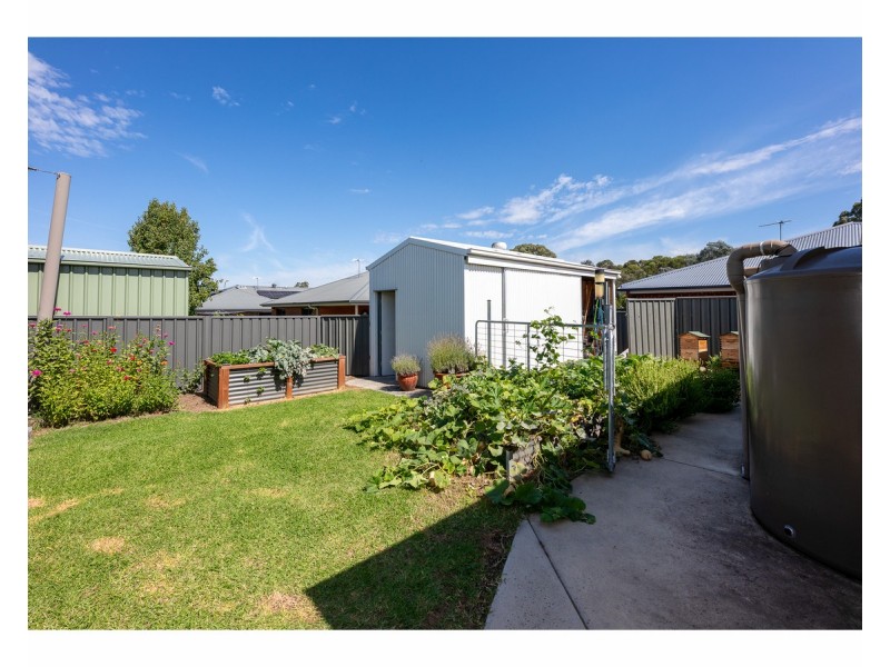 56 Riverboat Drive, Thurgoona NSW 2640