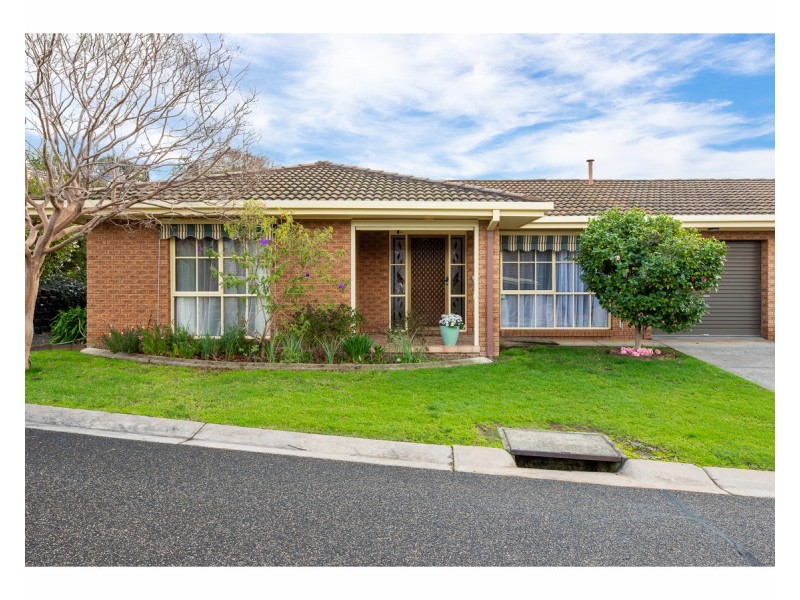 50 Springfield Court, West Albury NSW 2640