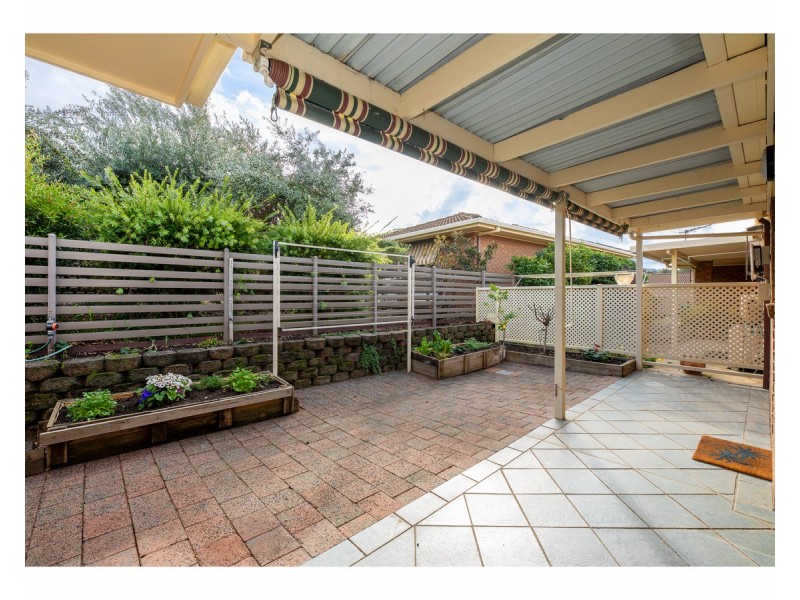 50 Springfield Court, West Albury NSW 2640