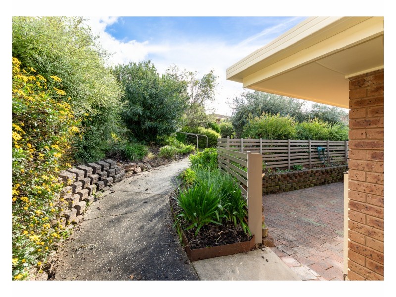 50 Springfield Court, West Albury NSW 2640