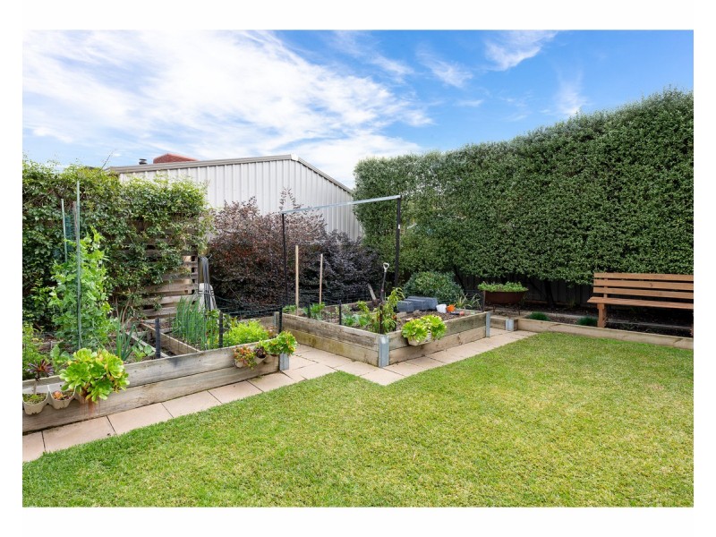 20 Wentworth Court, Lavington NSW 2641