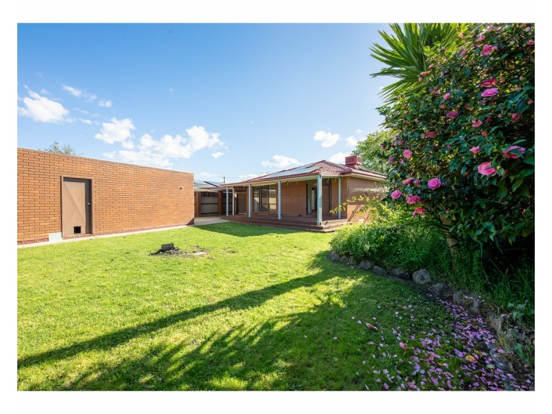 6 Campbell Avenue, West Wodonga VIC 3690