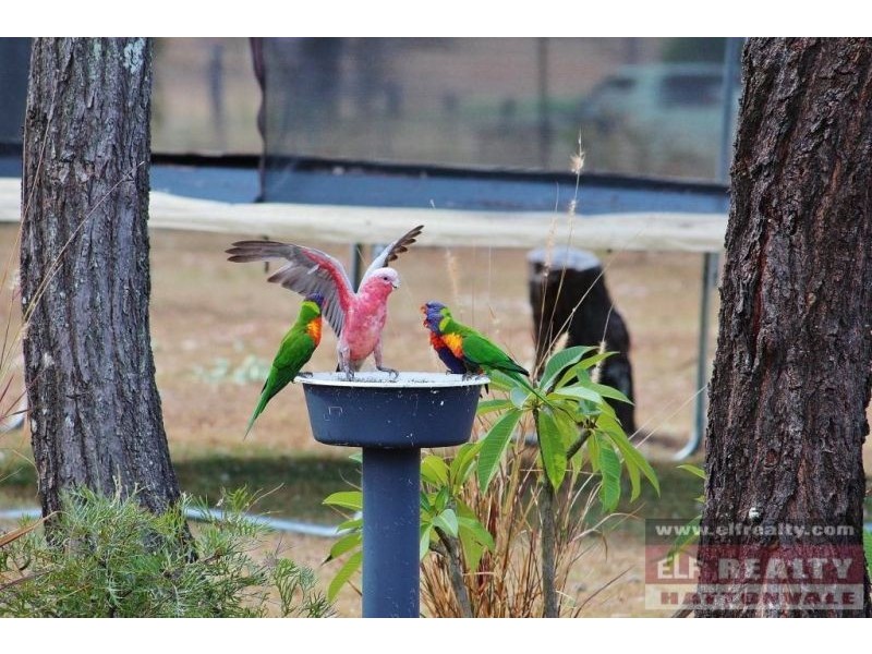 Laidley Heights QLD 4341