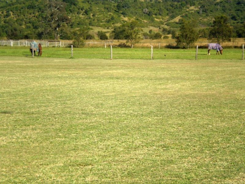 Summerholm QLD 4341