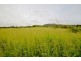 Lark Hill QLD 4306