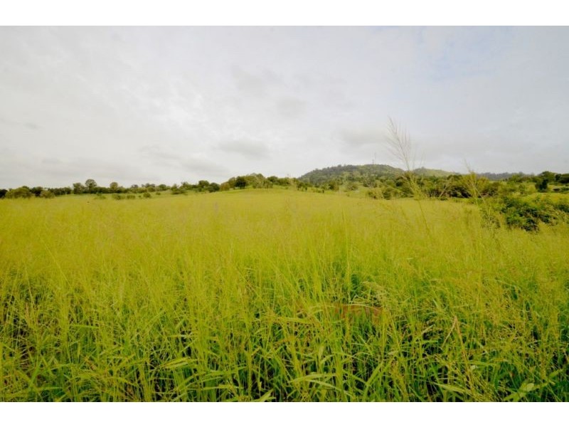 Lark Hill QLD 4306