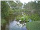 Regency Downs QLD 4341