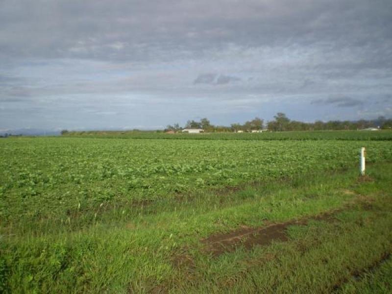 Lake Clarendon QLD 4343