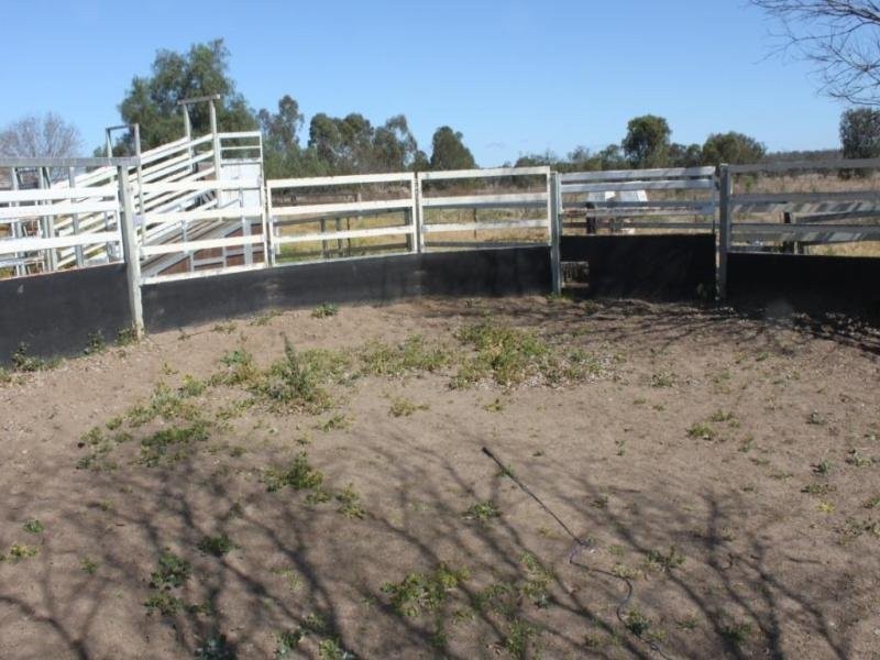 Forest Hill QLD 4342