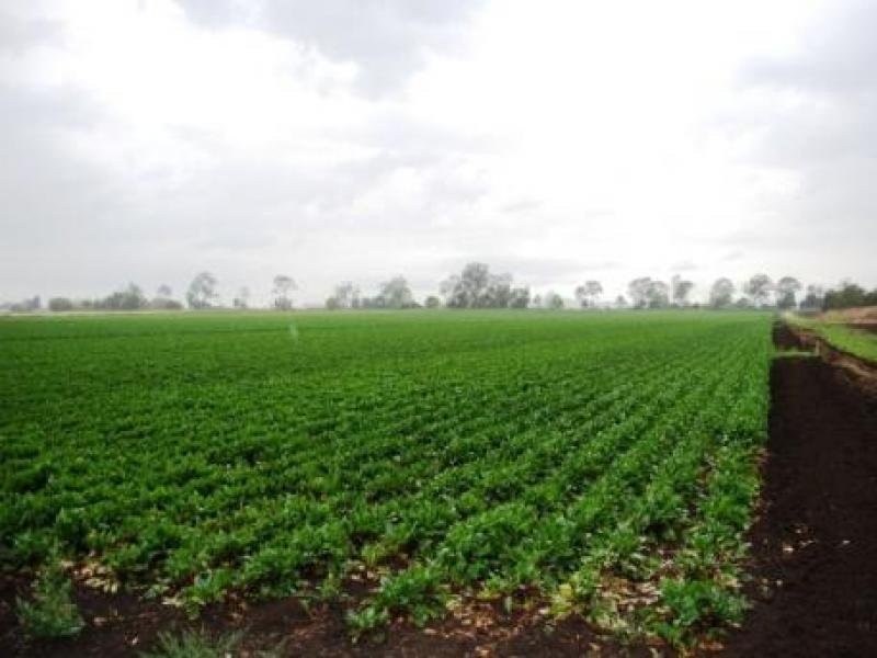 Forest Hill QLD 4342