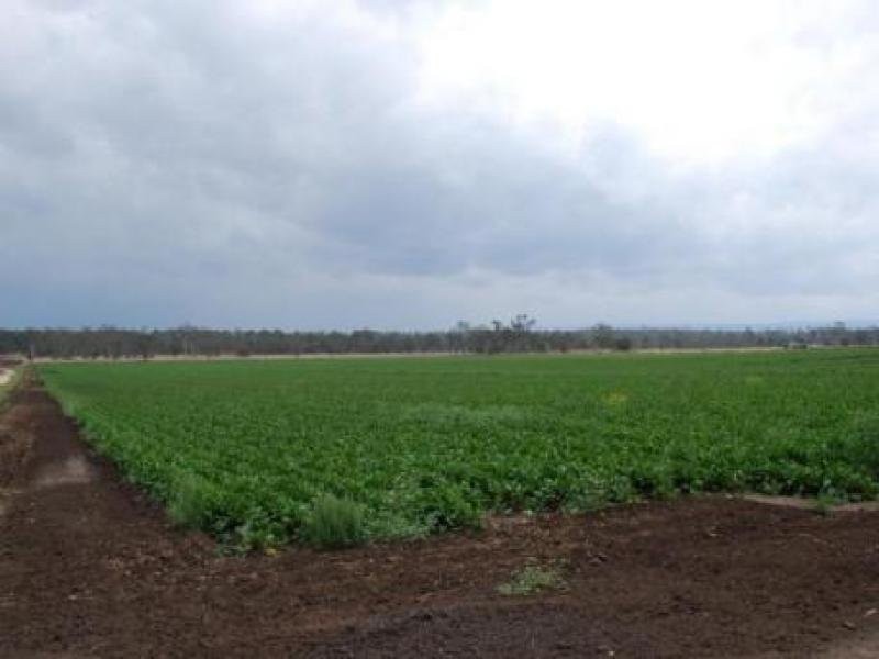 Forest Hill QLD 4342