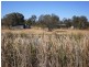 Regency Downs QLD 4341