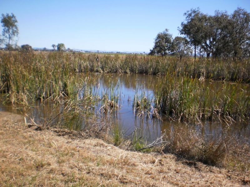 Regency Downs QLD 4341