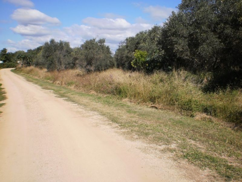 Glen Cairn QLD 4342