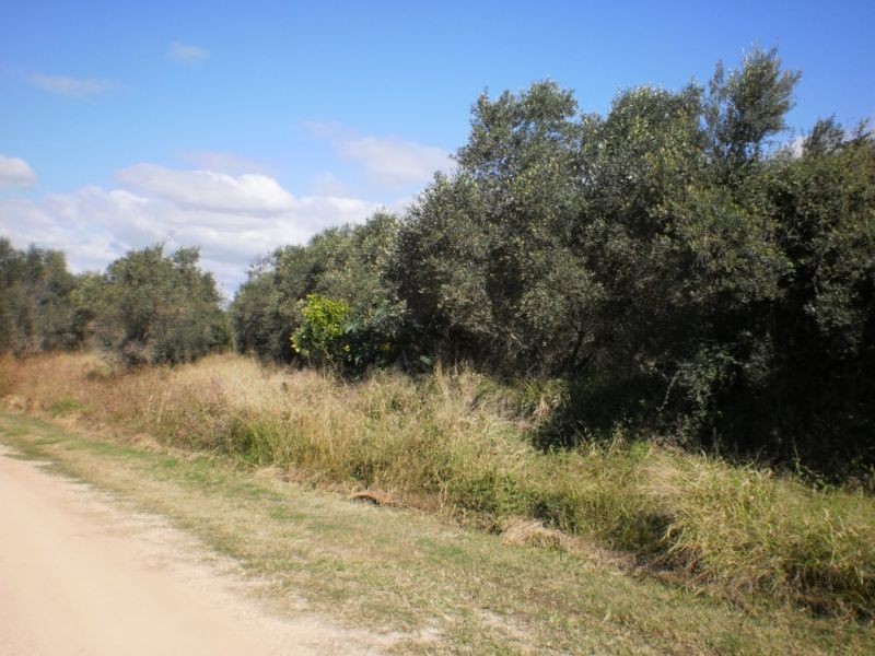 Glen Cairn QLD 4342