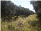 Glen Cairn QLD 4342