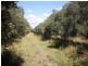 Glen Cairn QLD 4342