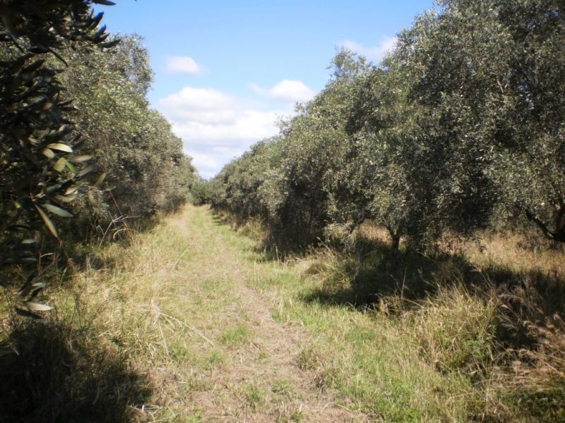 Glen Cairn QLD 4342