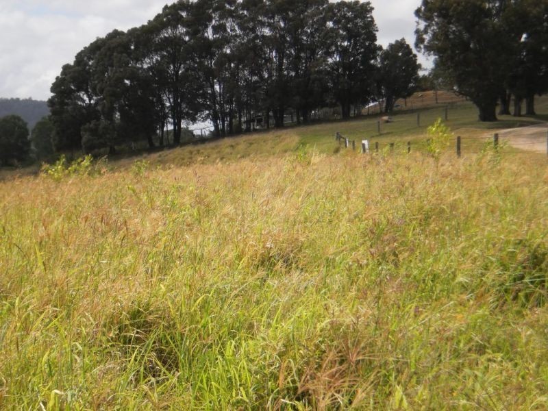 Summerholm QLD 4341