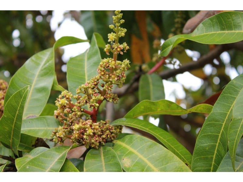 33954 Bruce Highway, Gin Gin QLD 4671