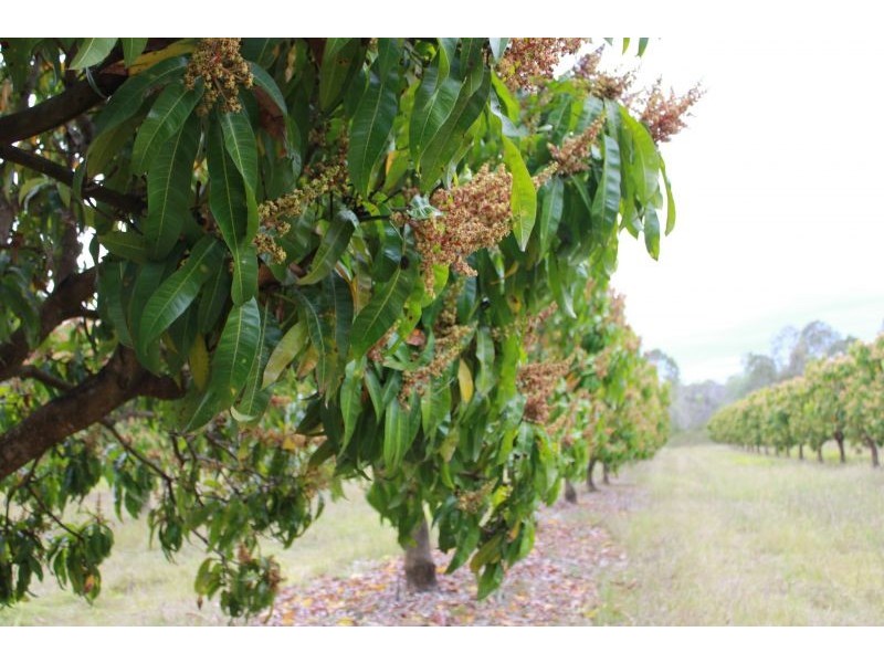 33954 Bruce Highway, Gin Gin QLD 4671