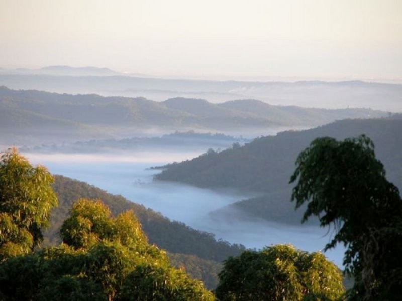 262 Macdonnell Rd, Tamborine Mountain QLD 4272