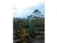 262 Macdonnell Rd, Tamborine Mountain QLD 4272