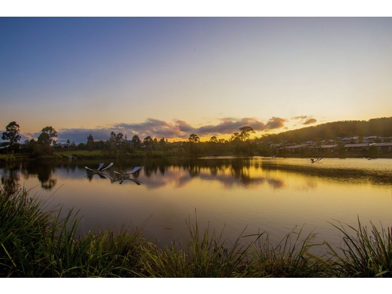 Upper Coomera QLD 4209