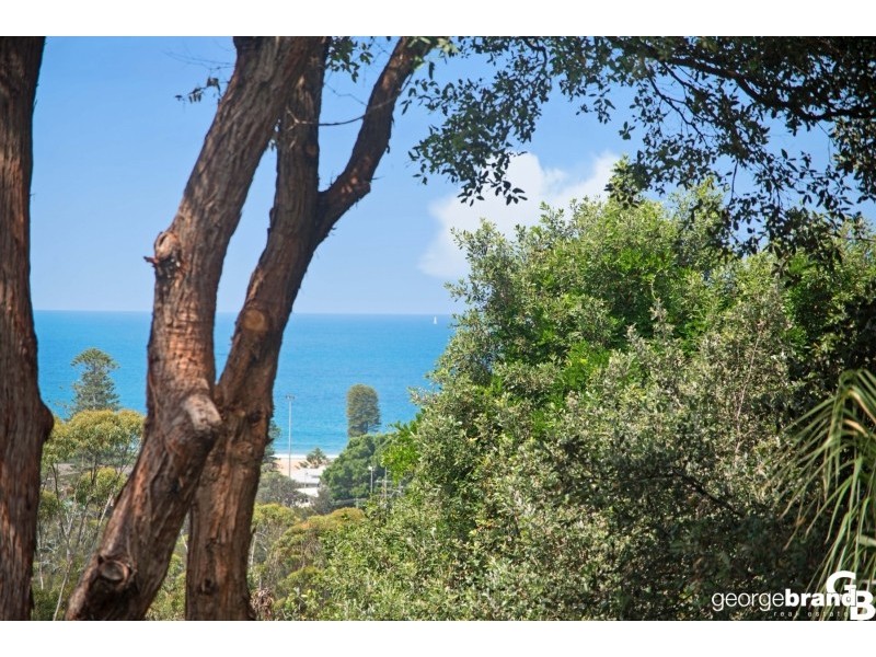 113  Hillside Road, Avoca Beach NSW 2251