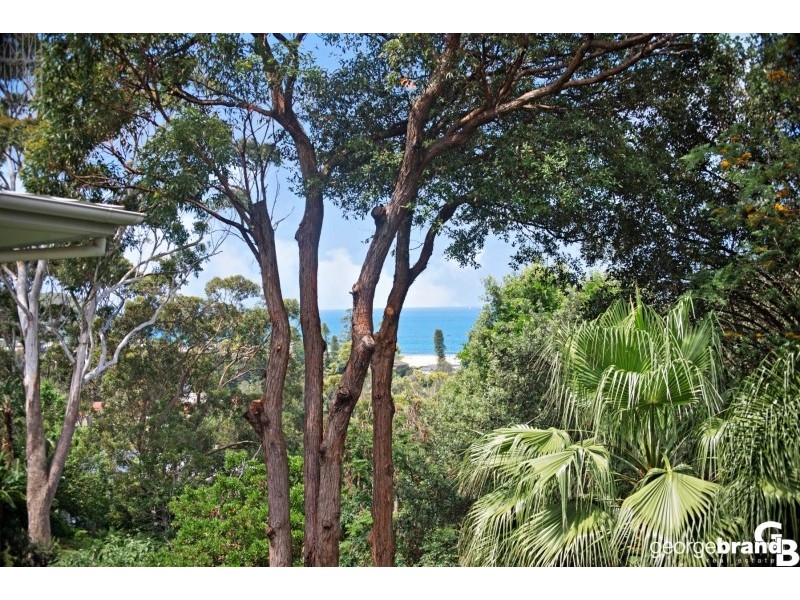 113  Hillside Road, Avoca Beach NSW 2251
