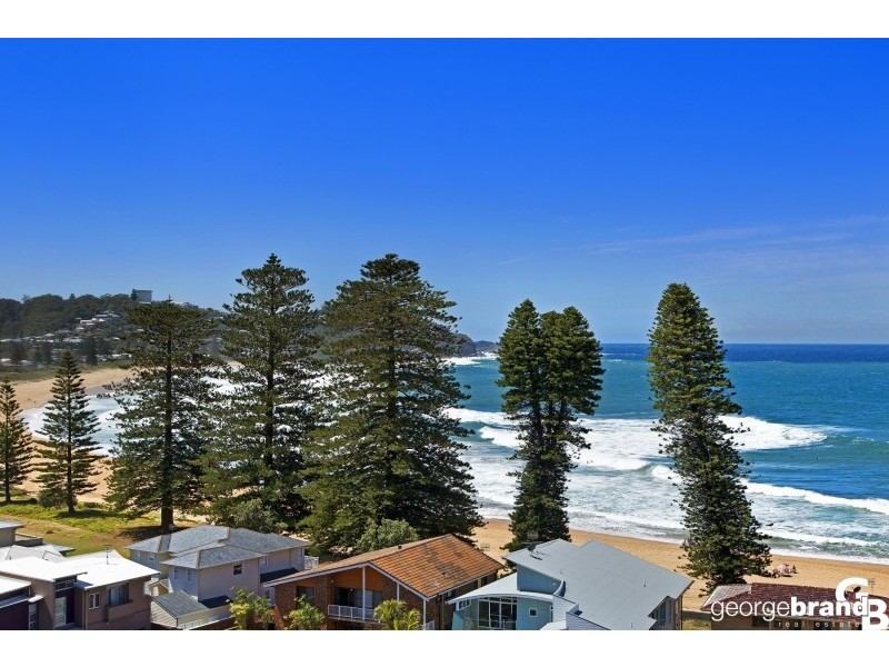 12 Ascot Avenue, Avoca Beach NSW 2251